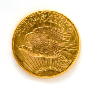 eagle1